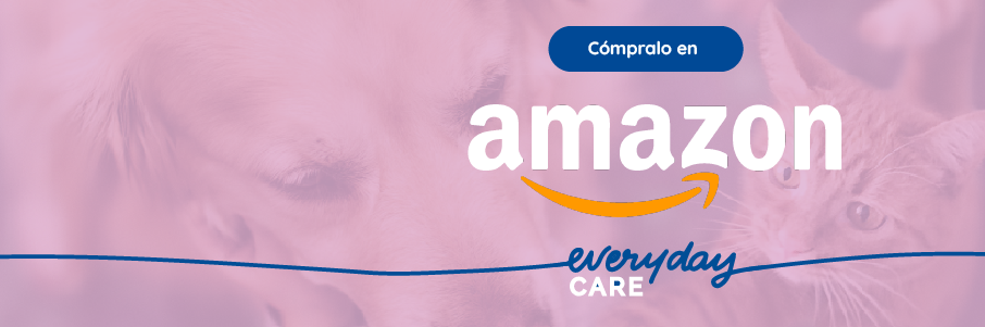 Para tu fiel compañía, ya estamos aquí